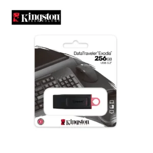 MEMORIA USB KINGSTON 256GB